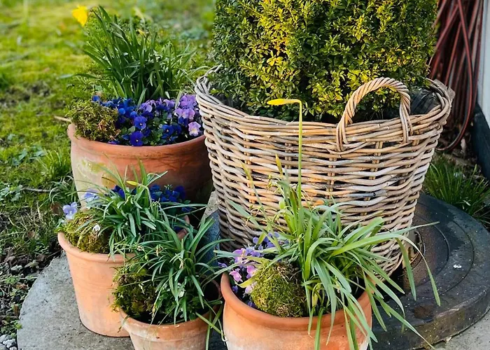 Tatil Evi Gatekeepers House